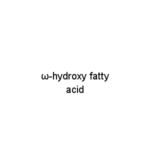 ω-hydroxy fatty acid